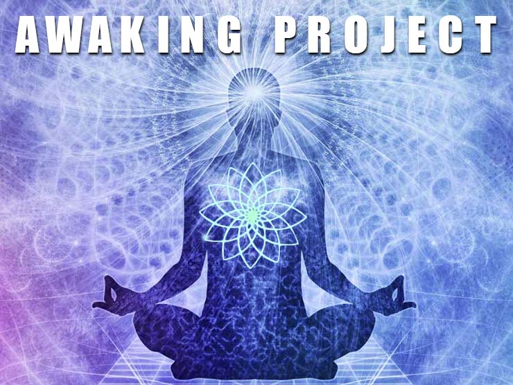 Cursos De Awaking Project