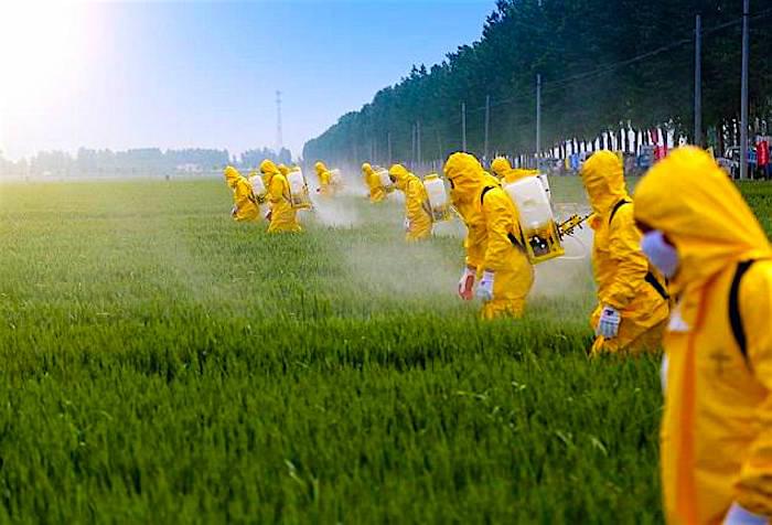 Pesticides And Parkinsons