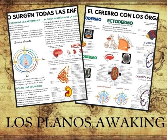 PLANOS AWAKING DE LA ENFERMEDAD – Awaking Project